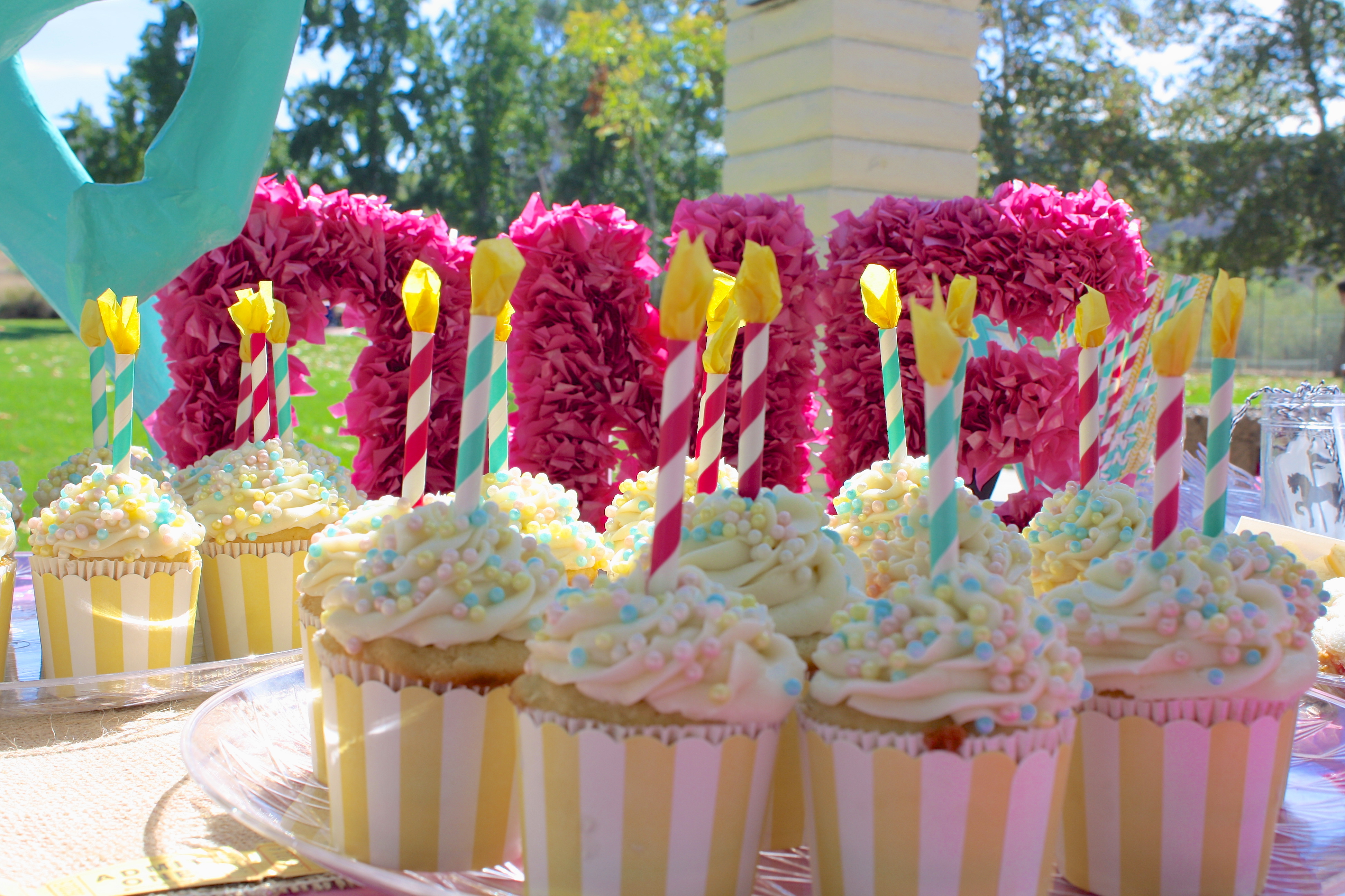 A Man’s 30th Birthday Party Ideas in San Diego California - HV